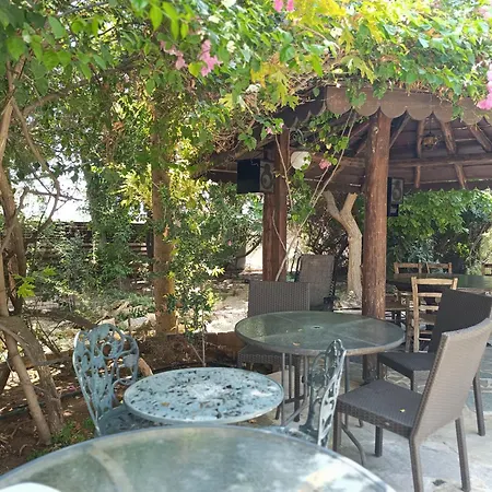Villa Stone Garden Oasis Limassol