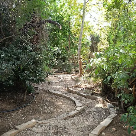 Stone Garden Oasis Villa