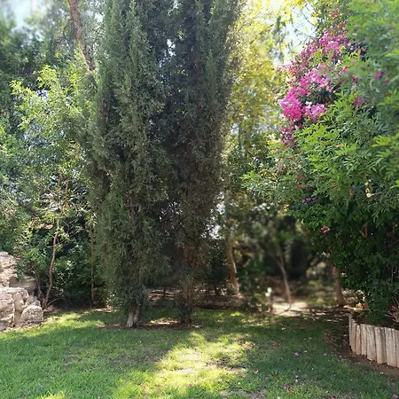 One Bedroom Semi-detached Stone-built With Beautiful Gardens And Pool Limassol