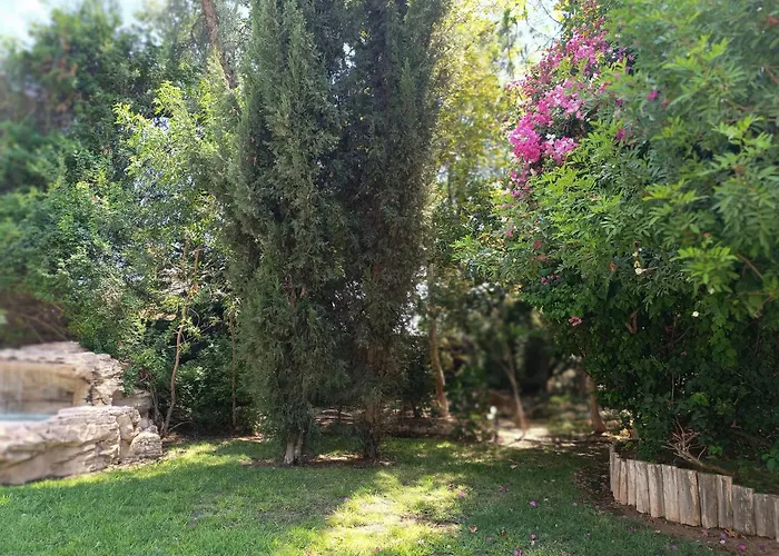 Stone Garden Oasis Lemesos