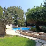 Stone Garden Oasis
