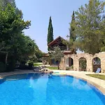 Stone Garden Oasis *