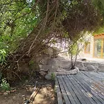 Stone Garden Oasis * לימסול